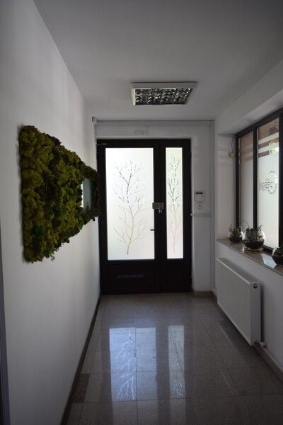 Titulescu - imobil birou 16 camere, suprafata 650mp