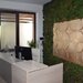 Titulescu - imobil birou 16 camere, suprafata 650mp